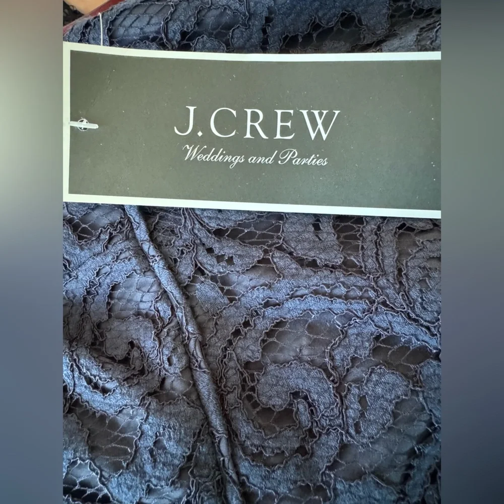 J.Crew Natalia Dress in Leavers Lace